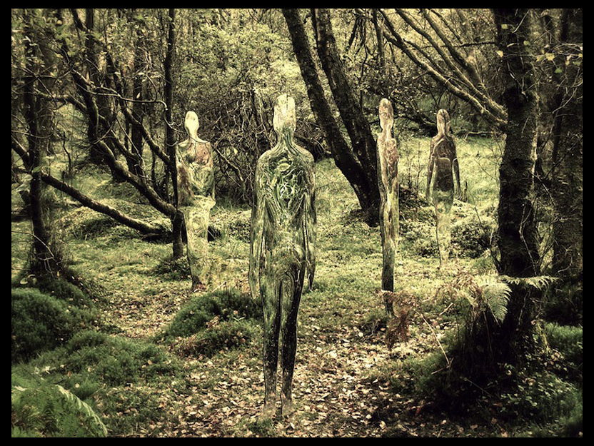 Зеркальные скульптуры в шотландском лесу