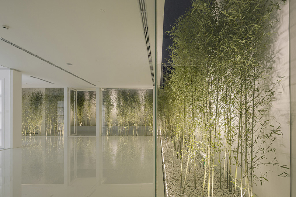 Архитекторы Китая посадили бамбуковый сад на крыше торгового центра